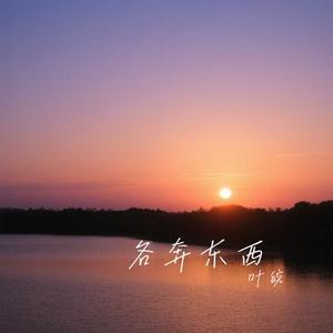各奔东西 (Cover 赵乃吉)