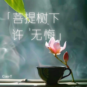 菩提树下许无悔（沧桑版）