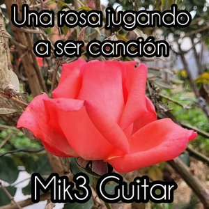 Una rosa jugando a ser cancion