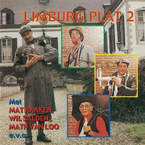 De vrijwillige brandweer