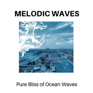 Crickets Night White Noise