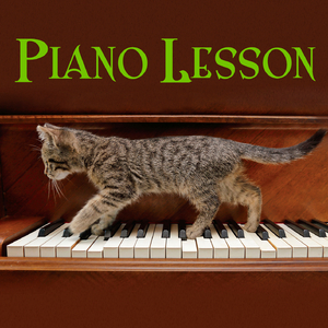 ピアノソナタ 第14番「月光」第1楽章