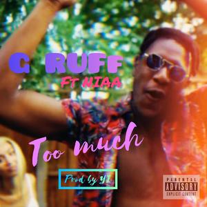 Too Much (feat. Niaa)