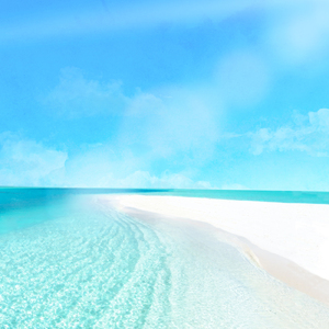 愛は花君はその種 (Ukulele Cover)