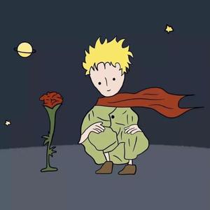 玫瑰（翻自 贰佰）