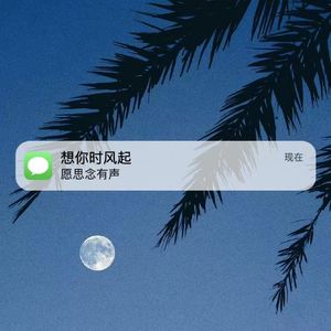 想你时风起（和声版）
