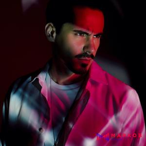 Я вас любил