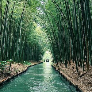 布鲁杯黎-天空小说