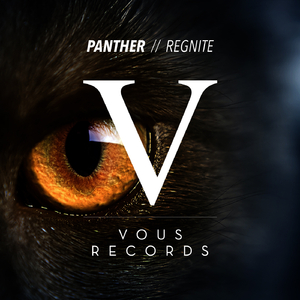 Panther (Original Mix)