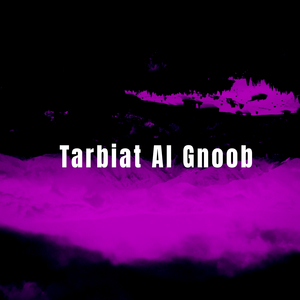 Ahb Allail