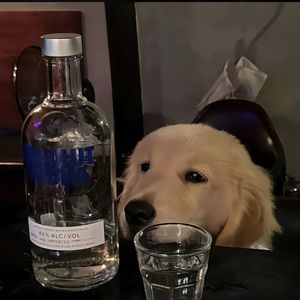 北方的你（沈大版）2 伴奏