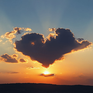 ただ君だけ