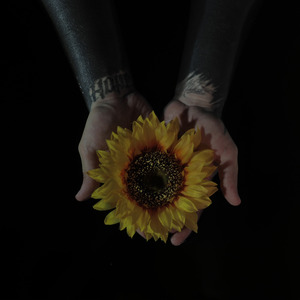 Tatúame (Amor en 9/4) (Versión 2024)