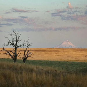 Вакытым бол
