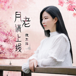 月老请上线