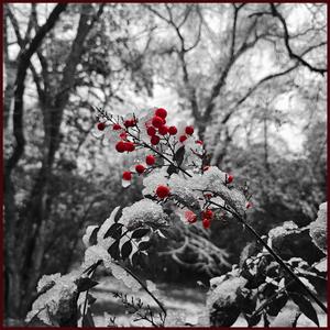 There's Something About The Deer In Sadness Forest