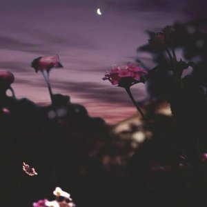 The moon didn't reappear