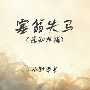塞翁失马(焉知非福)