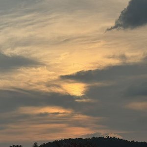 钗头凤·红酥手