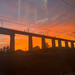 像鱼（cover：王贰浪）