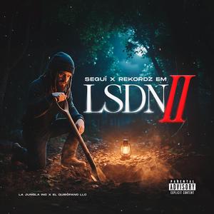 LSDN II