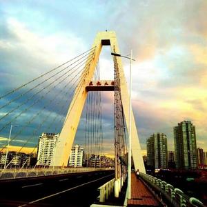 毕业，不说再见