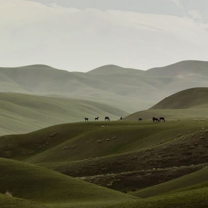 大山（cover：王睿卓）