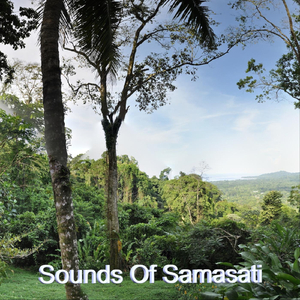 Rain Forest Meditation (Live)