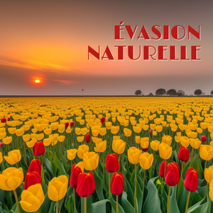 Soulevez votre Humeur