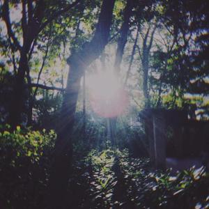 焚香的风 [楼离ver]