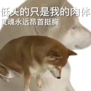 清热剂