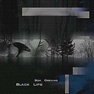 Black Lips
