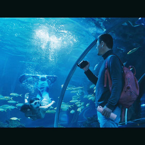 短冬的人鱼 - 海洋馆