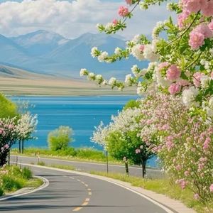 我又回来了（经典钢琴曲）