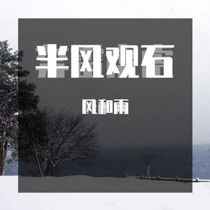 半风观石 (3)