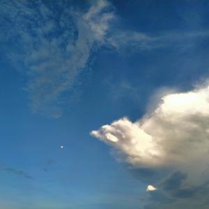 Recognize (feat. Vhadel & Erie)