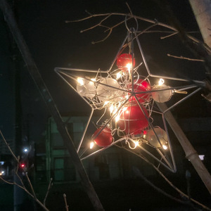 アルコーブの秘め事