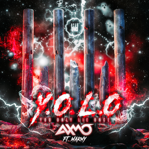 Y.O.L.O (You Only Lie Once)