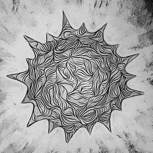 8.21.17