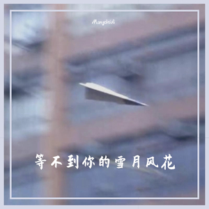 等不到你的雪月风花
