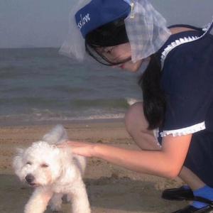 抬 头 便 是 温 柔