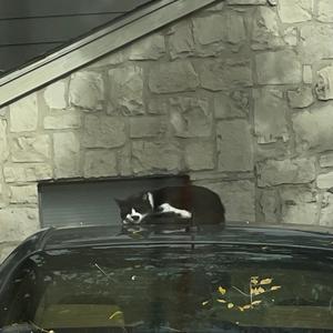 waking is a cruel joke