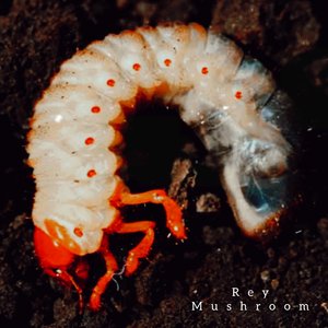 NEPTUNO (Hecho para Volar)