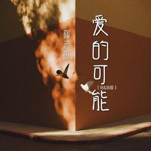爱的可能 (R&B版)