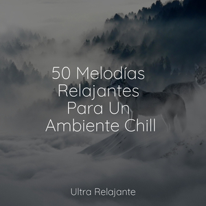 Solo en Las Nebulosas