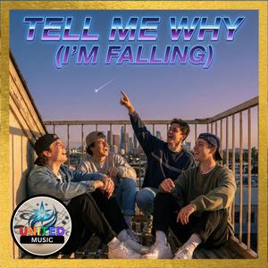 Tell me Why (I'm Falling)