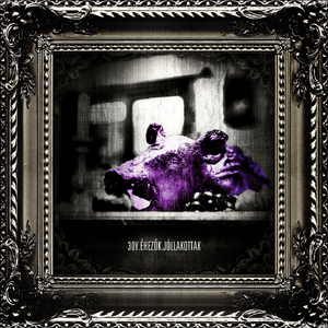 éhezők jóllakottak