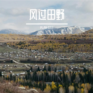 风过田野