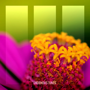 Jugaad (Extended Mix)