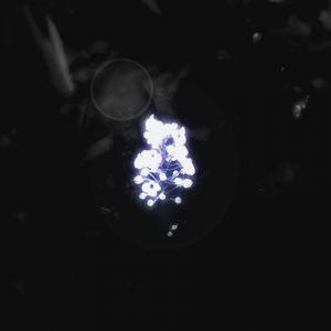 Light (Audhentik Remix)